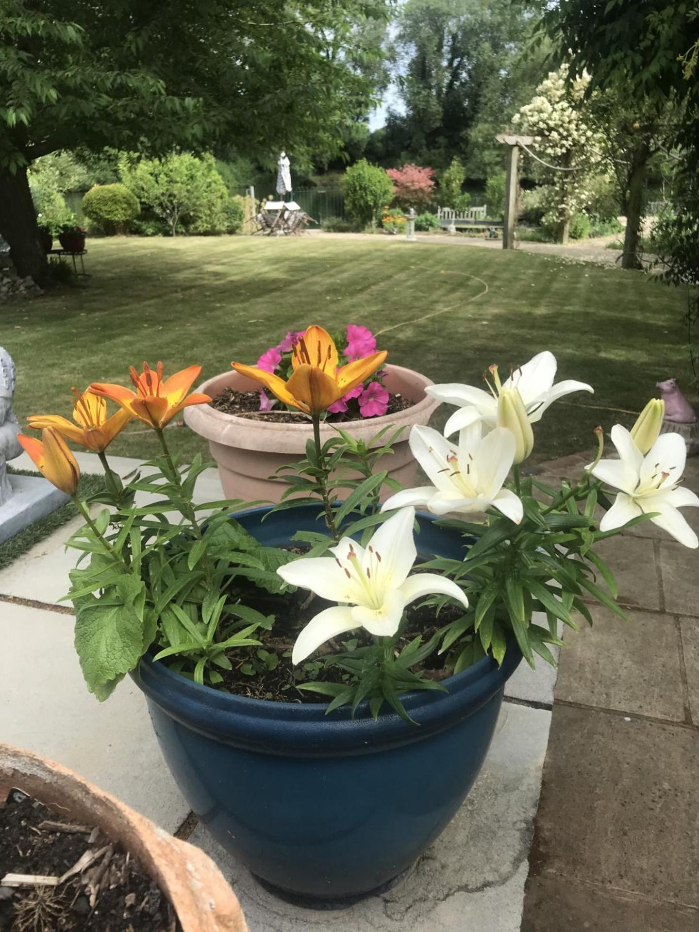 Cozy Double Bedroom In Stunning Bungalow On River Thames - Near Thorpe Park/Royal Holloway University/20Mins From Heathrow 스테인스 외부 사진